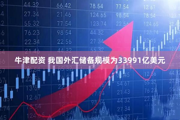 牛津配资 我国外汇储备规模为33991亿美元